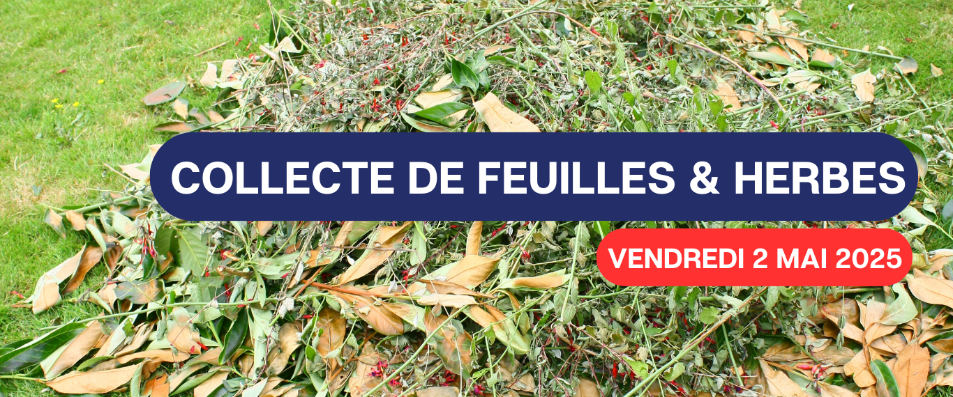 COLLECTE DE FEUILLES ET HERBES – CE VENDREDI ! 🍃