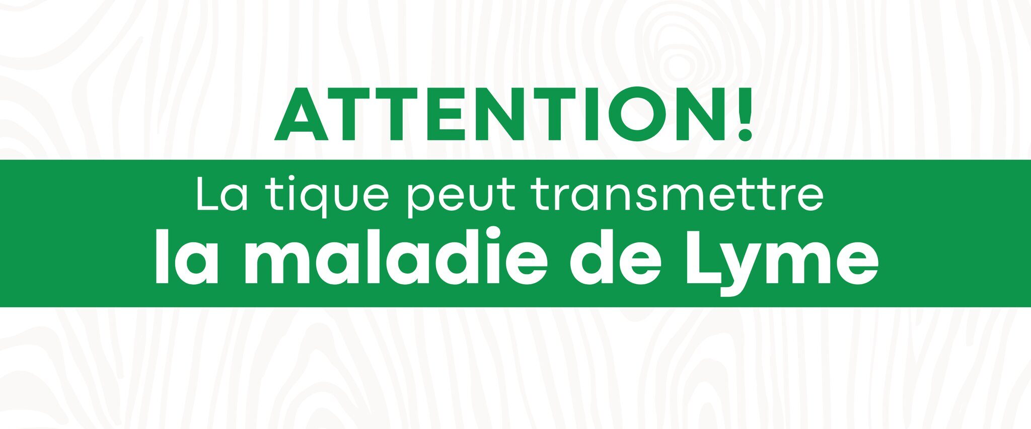 UNE HAUSSE DU NOMBRE DE TIQUES DANS LANAUDIÈRE !🌳