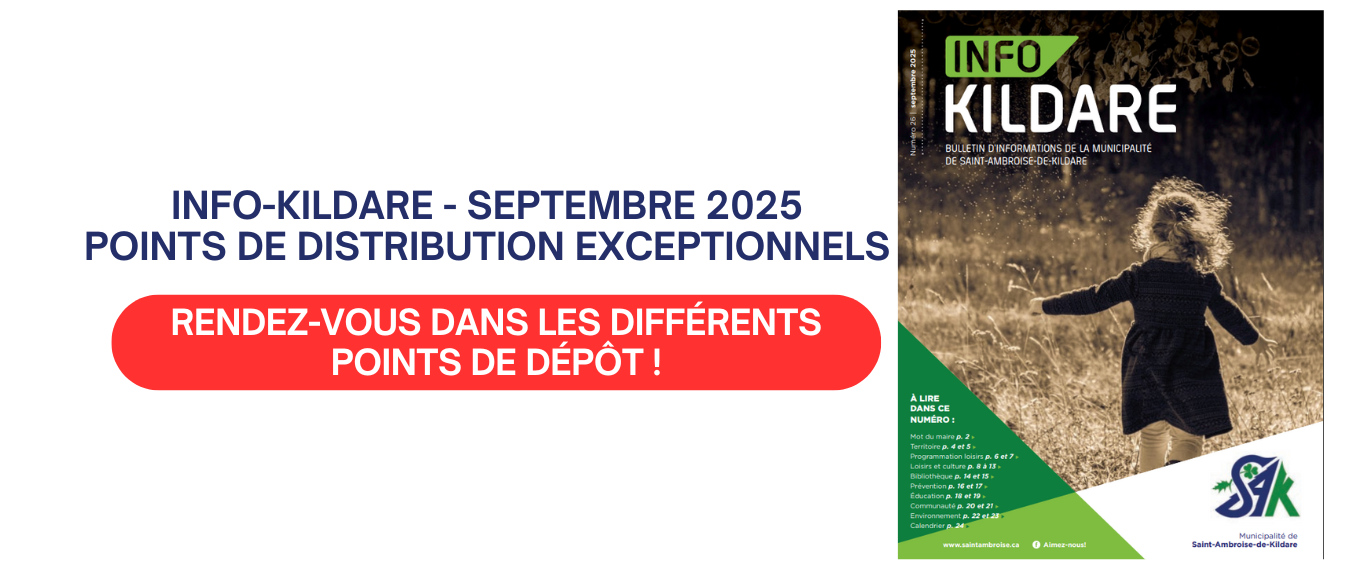 INFO-KILDARE – POINTS DE DÉPÔT EXCEPTIONNELS 📰