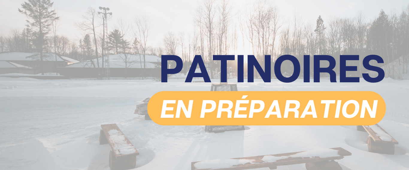 PATINOIRES – EN PRÉPARATION ❄⛸