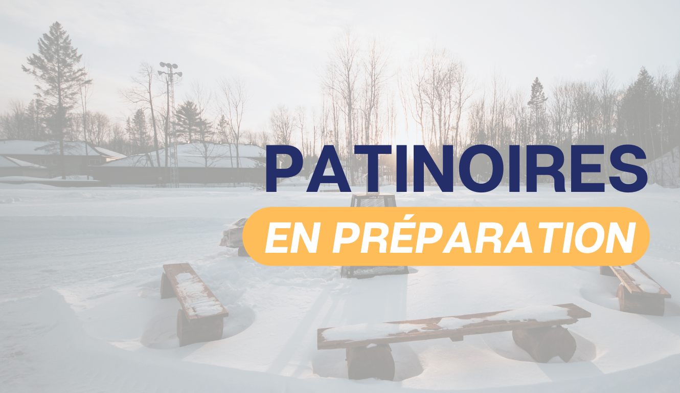 PATINOIRES – EN PRÉPARATION ❄⛸