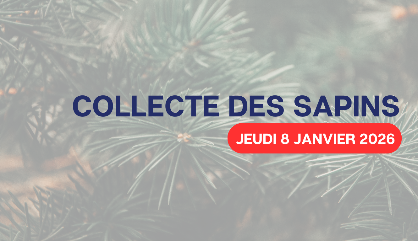 COLLECTE DES SAPINS 🌲